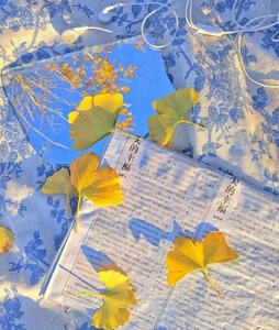 I like dogs, cats, cute things, Y2K, P5, genshin, IDV, webnovels (LOTM, ORV, TNE, SS), &amp; more! ✦✦✦✦✦✦✦✦✦✦✦✦ Dislikes: spiders, worms, snakes, &amp; country music